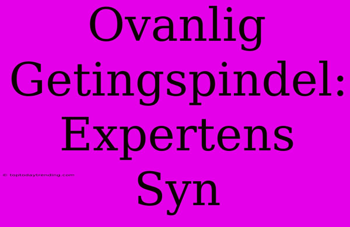 Ovanlig Getingspindel: Expertens Syn