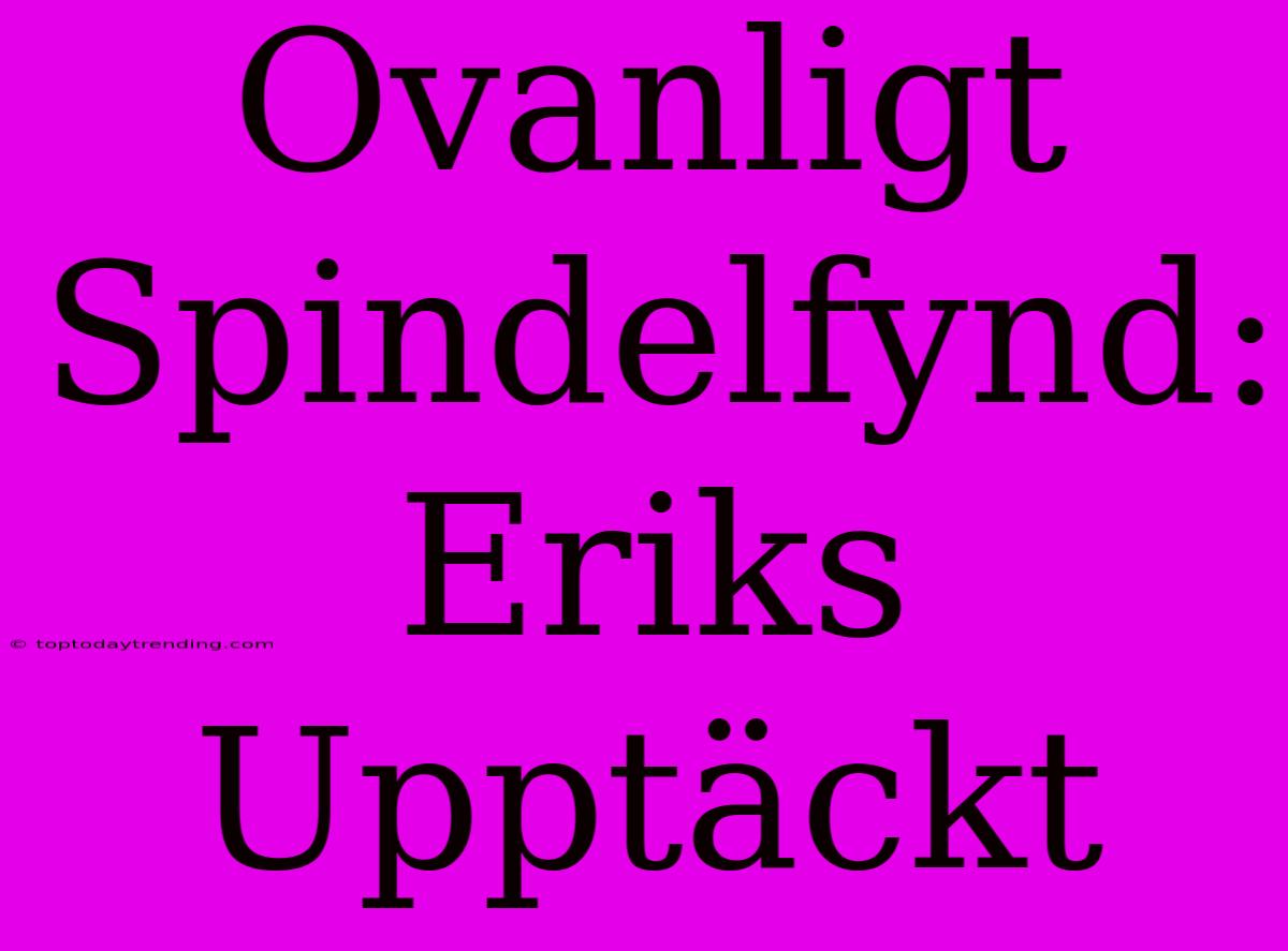 Ovanligt Spindelfynd: Eriks Upptäckt