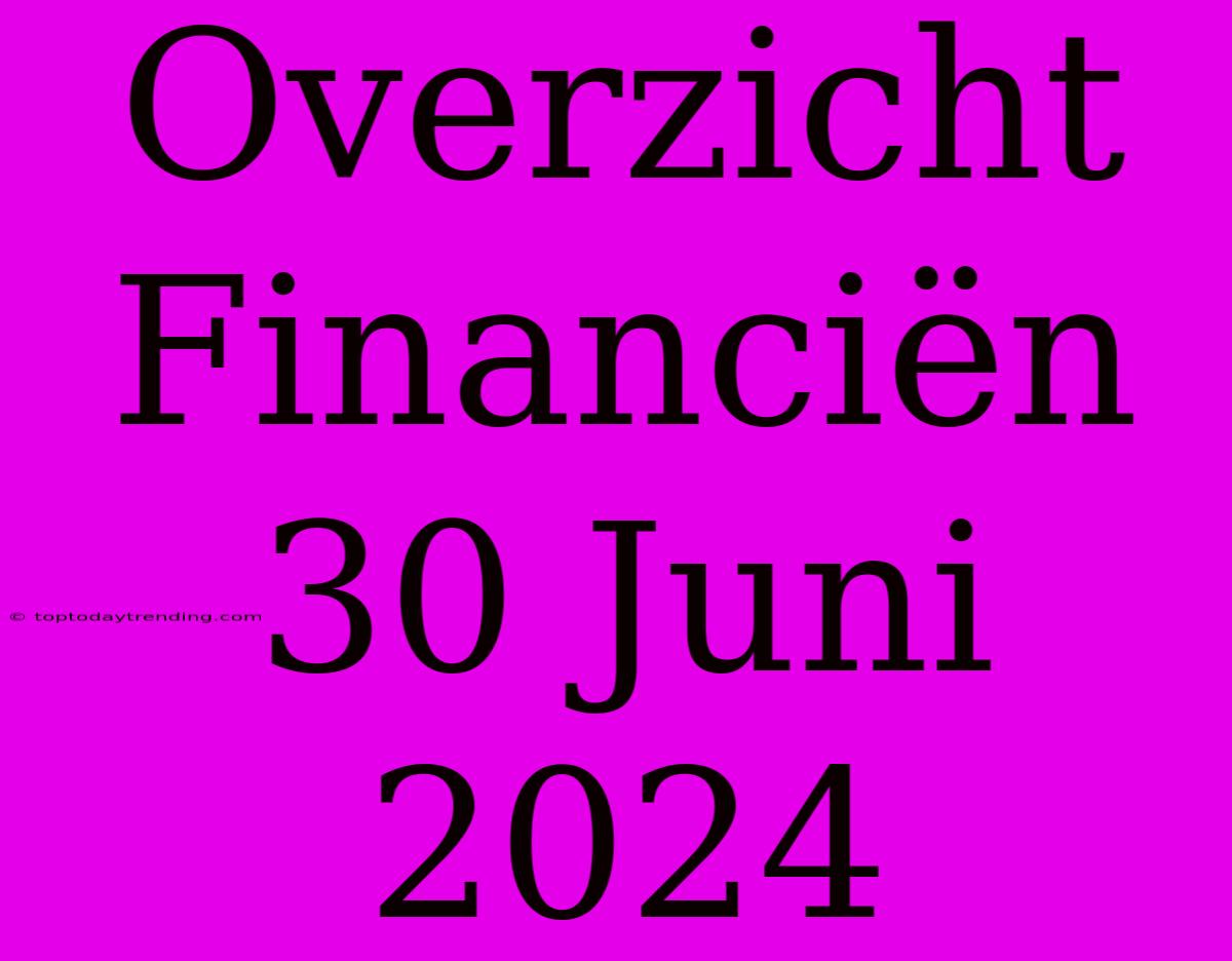 Overzicht Financiën 30 Juni 2024