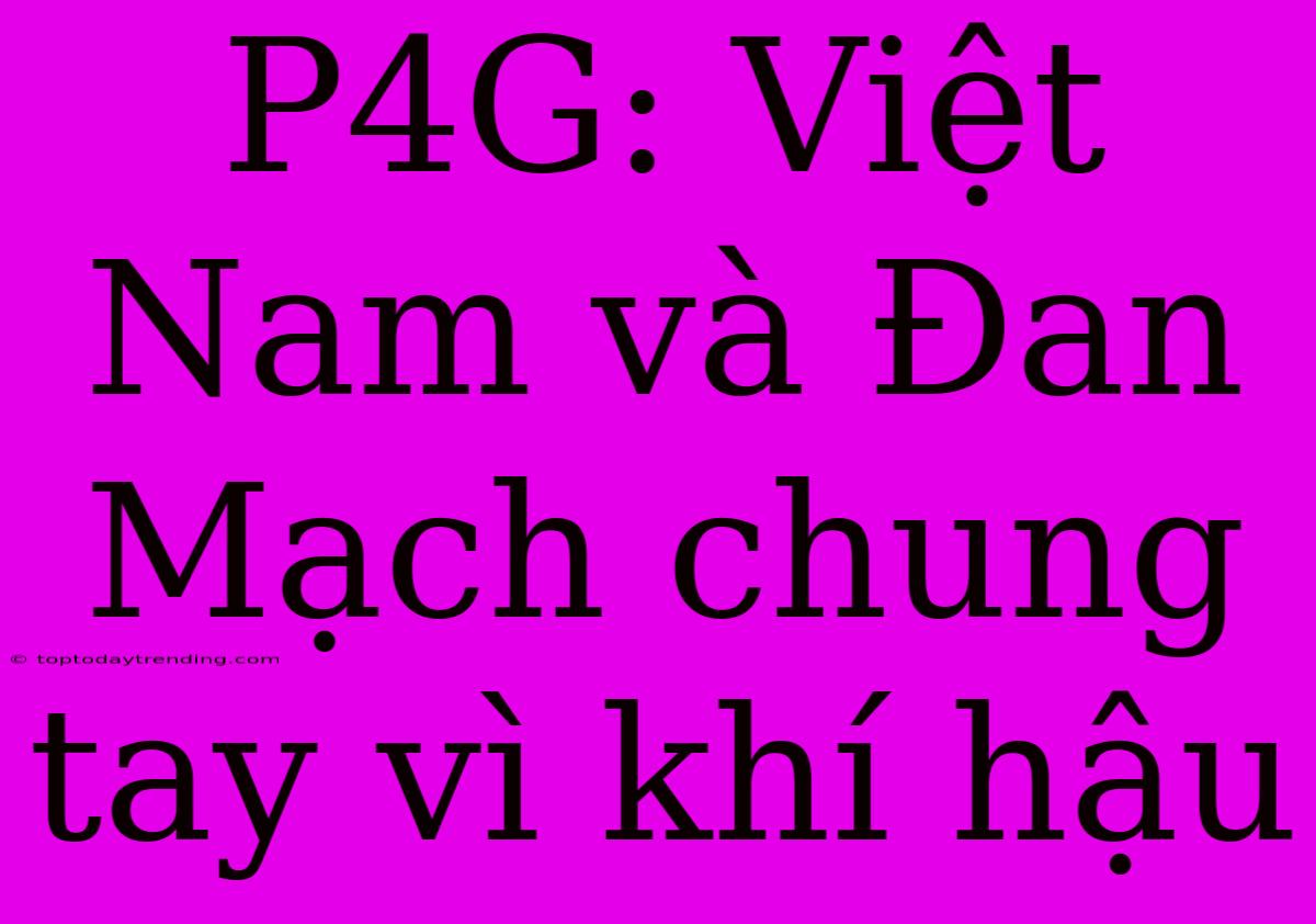 P4G: Việt Nam Và Đan Mạch Chung Tay Vì Khí Hậu