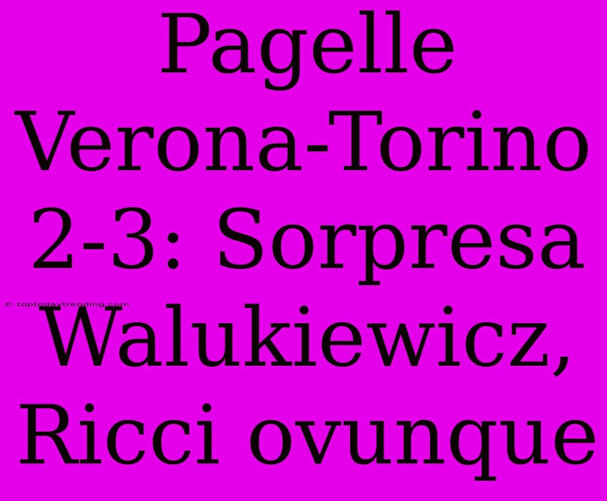 Pagelle Verona-Torino 2-3: Sorpresa Walukiewicz, Ricci Ovunque