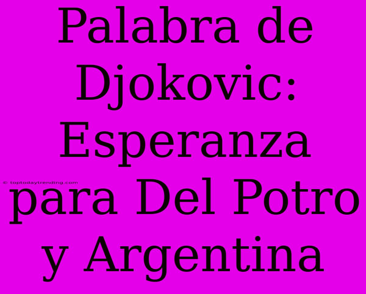 Palabra De Djokovic: Esperanza Para Del Potro Y Argentina