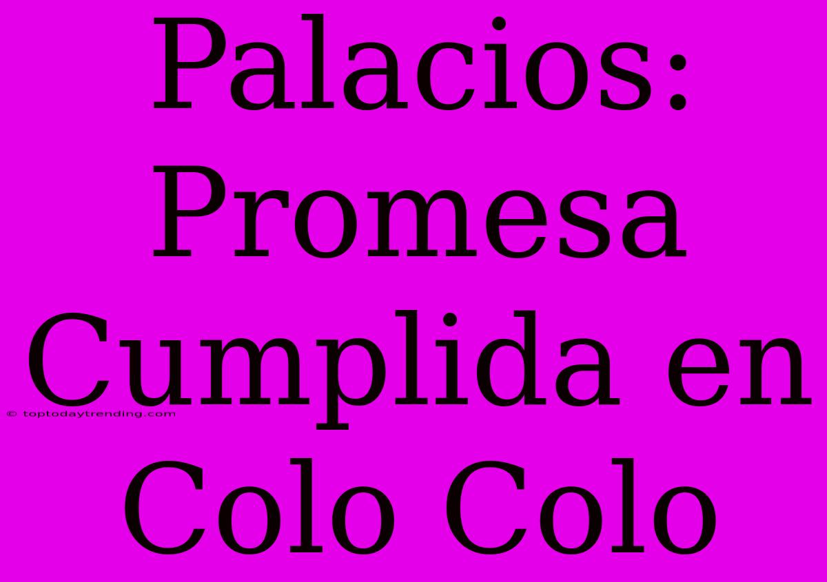 Palacios: Promesa Cumplida En Colo Colo