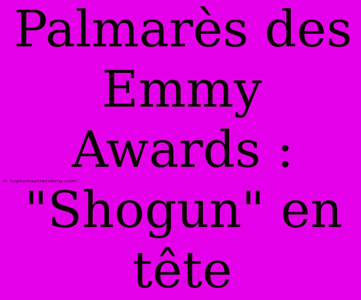 Palmarès Des Emmy Awards : 