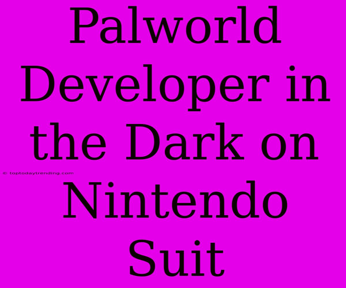 Palworld Developer In The Dark On Nintendo Suit