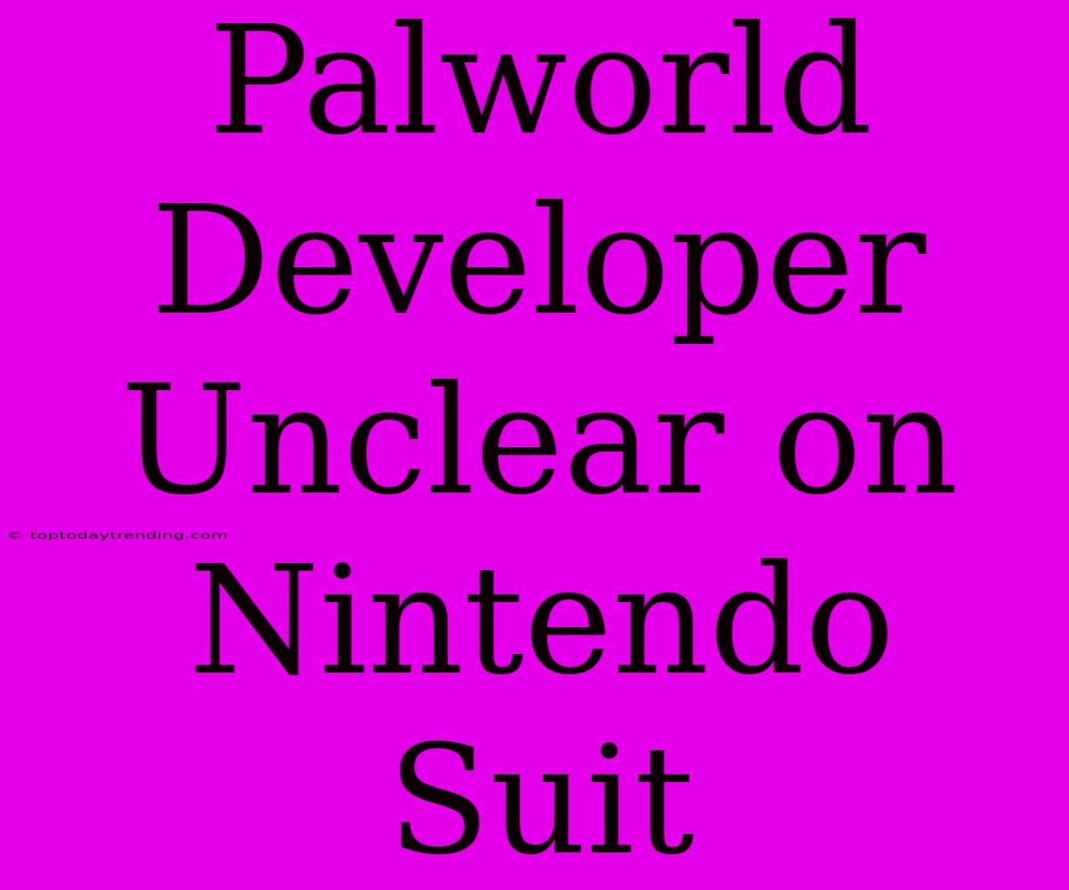 Palworld Developer Unclear On Nintendo Suit