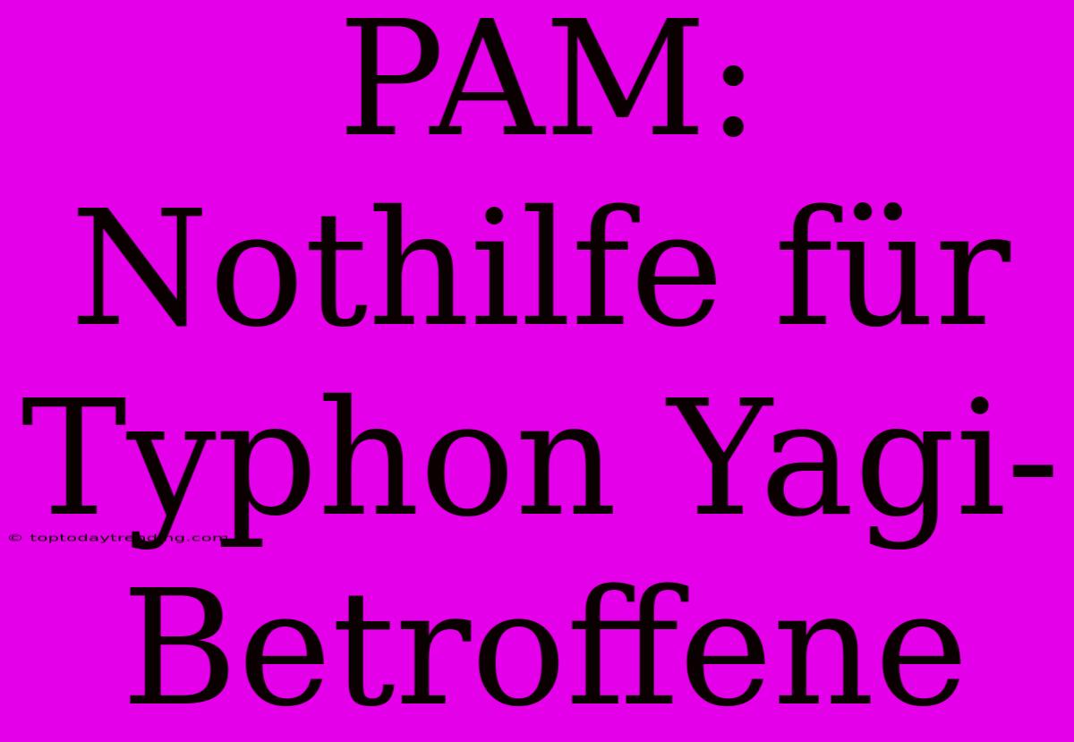 PAM: Nothilfe Für Typhon Yagi-Betroffene