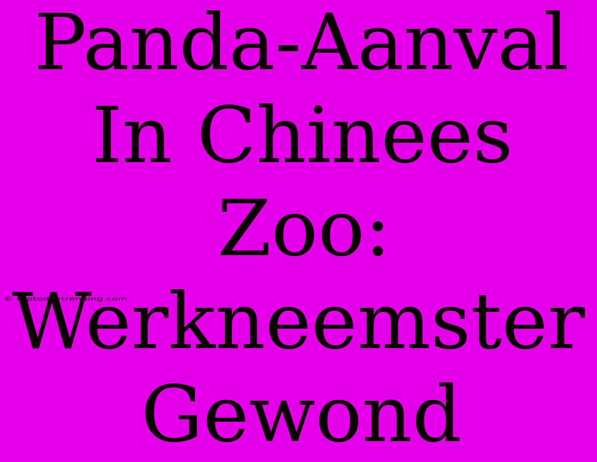 Panda-Aanval In Chinees Zoo: Werkneemster Gewond