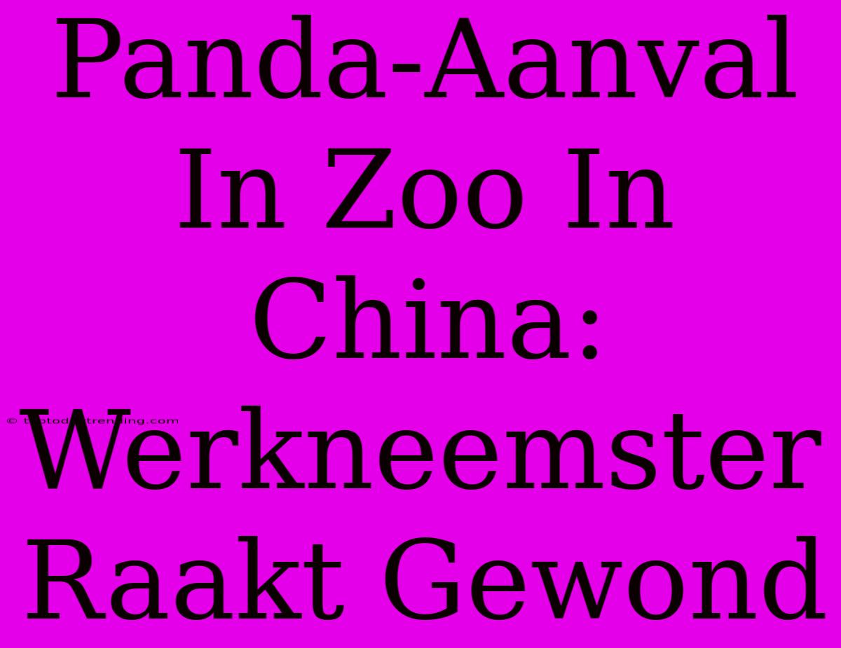 Panda-Aanval In Zoo In China: Werkneemster Raakt Gewond