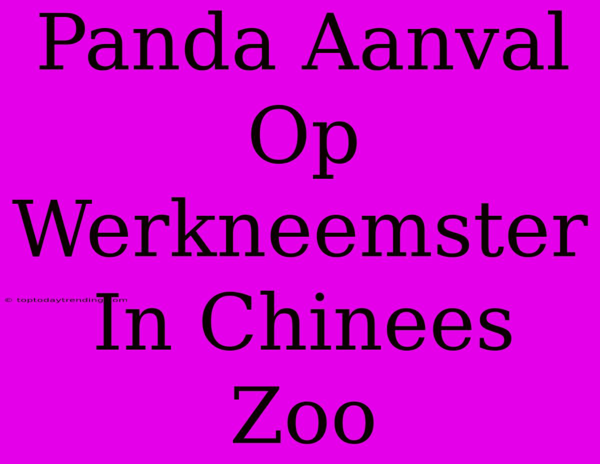 Panda Aanval Op Werkneemster In Chinees Zoo