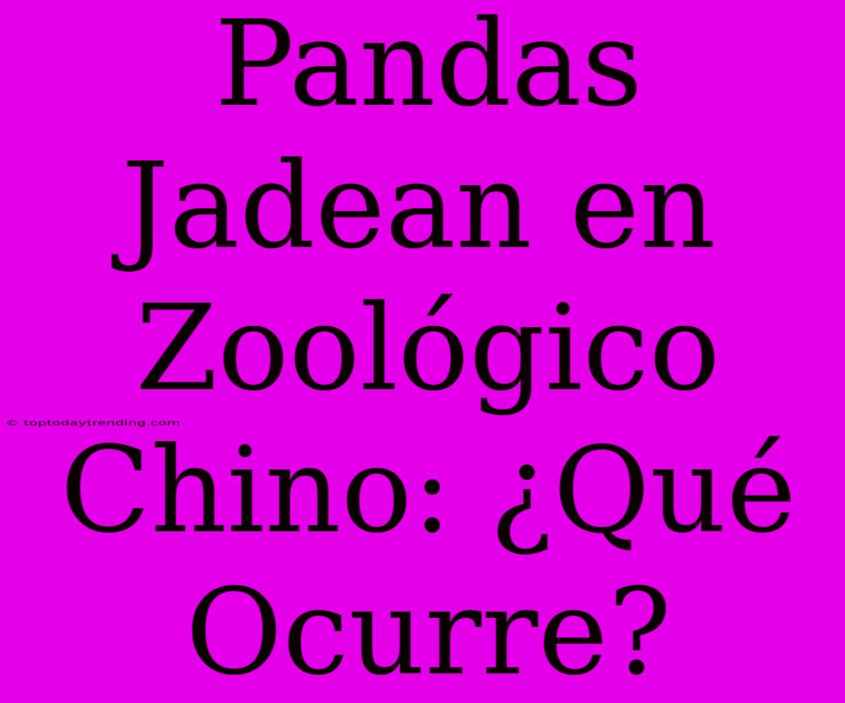 Pandas Jadean En Zoológico Chino: ¿Qué Ocurre?