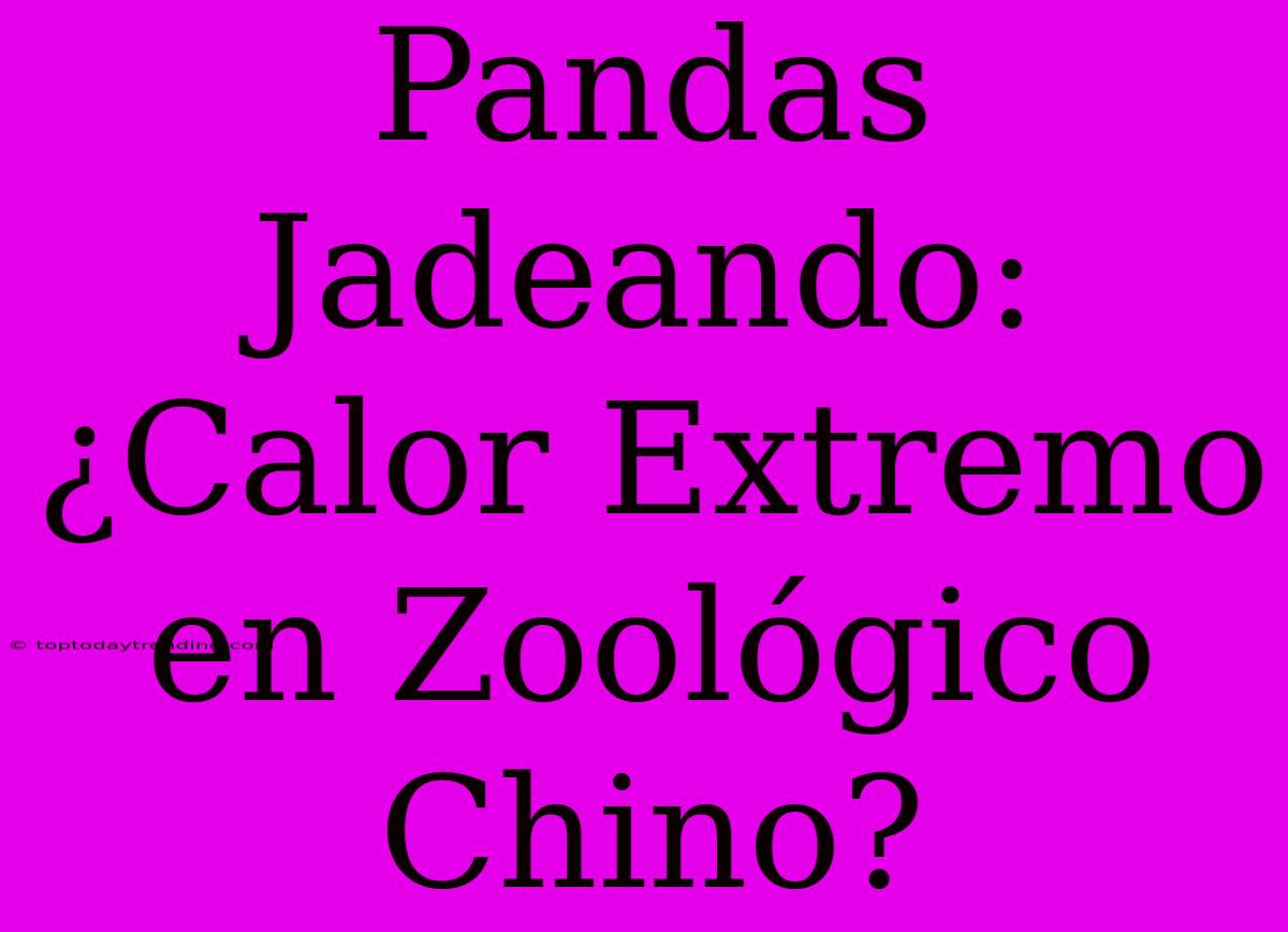 Pandas Jadeando: ¿Calor Extremo En Zoológico Chino?