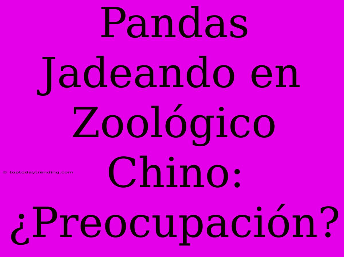 Pandas Jadeando En Zoológico Chino: ¿Preocupación?