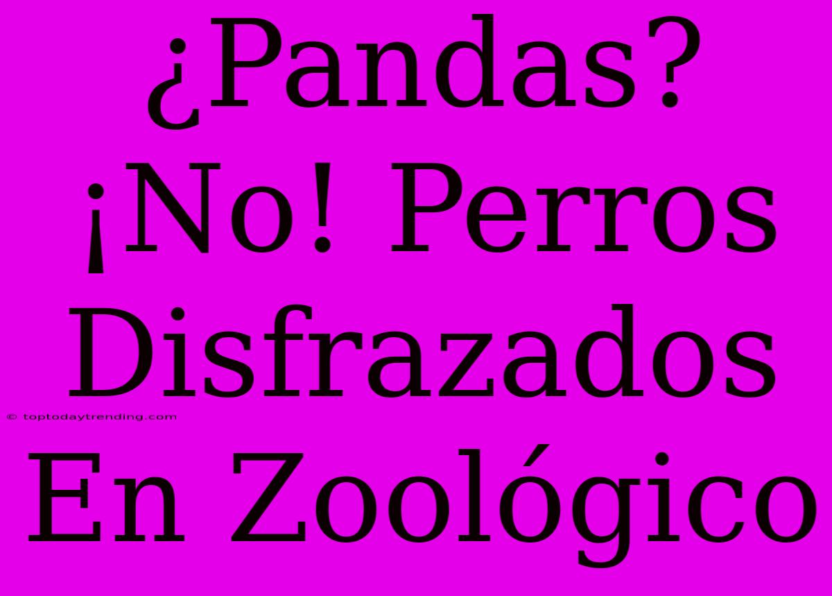 ¿Pandas? ¡No! Perros Disfrazados En Zoológico