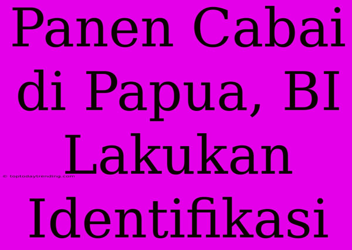 Panen Cabai Di Papua, BI Lakukan Identifikasi