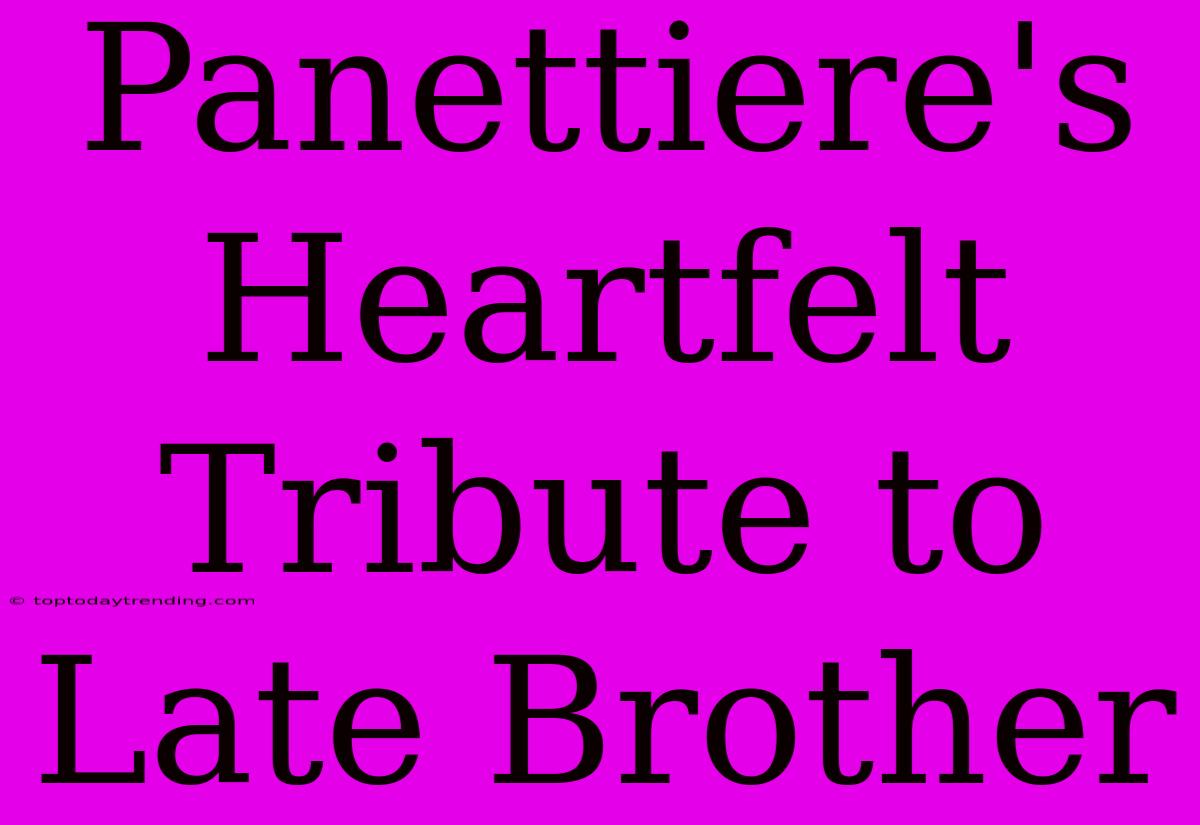 Panettiere's Heartfelt Tribute To Late Brother