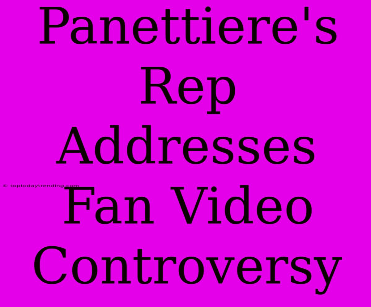 Panettiere's Rep Addresses Fan Video Controversy