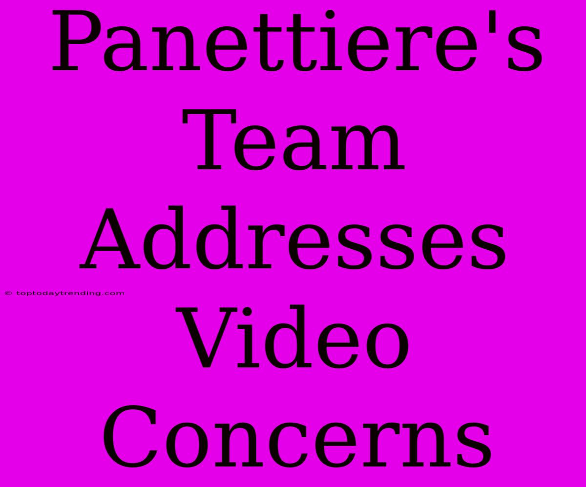 Panettiere's Team Addresses Video Concerns