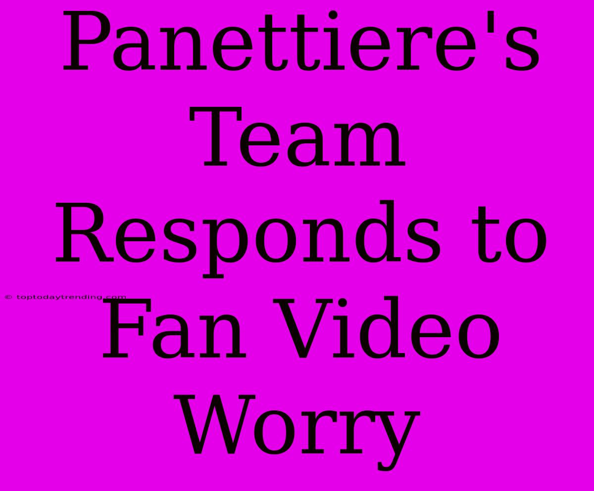 Panettiere's Team Responds To Fan Video Worry