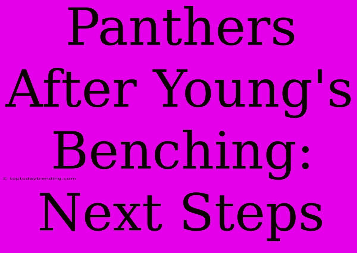 Panthers After Young's Benching: Next Steps