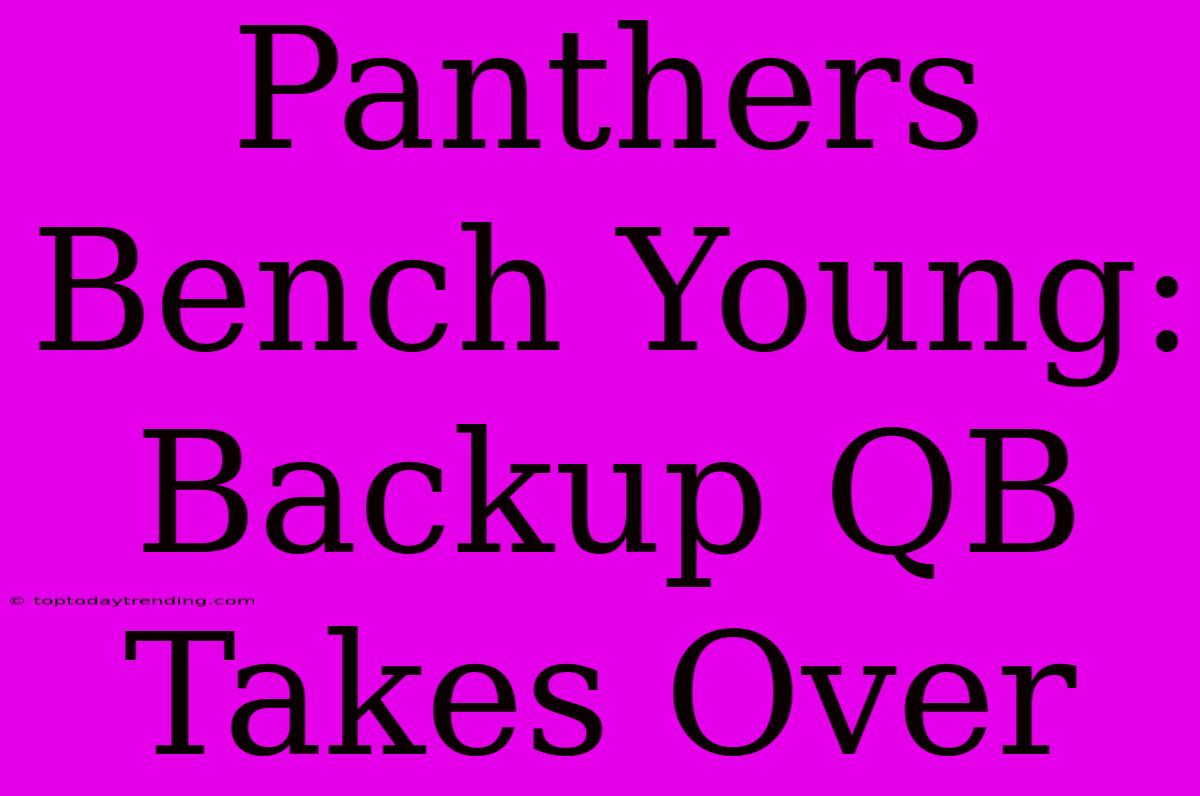 Panthers Bench Young: Backup QB Takes Over