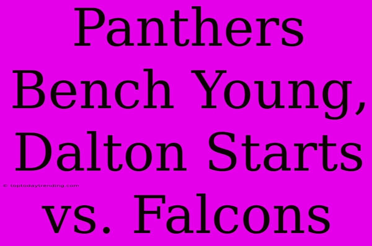 Panthers Bench Young, Dalton Starts Vs. Falcons