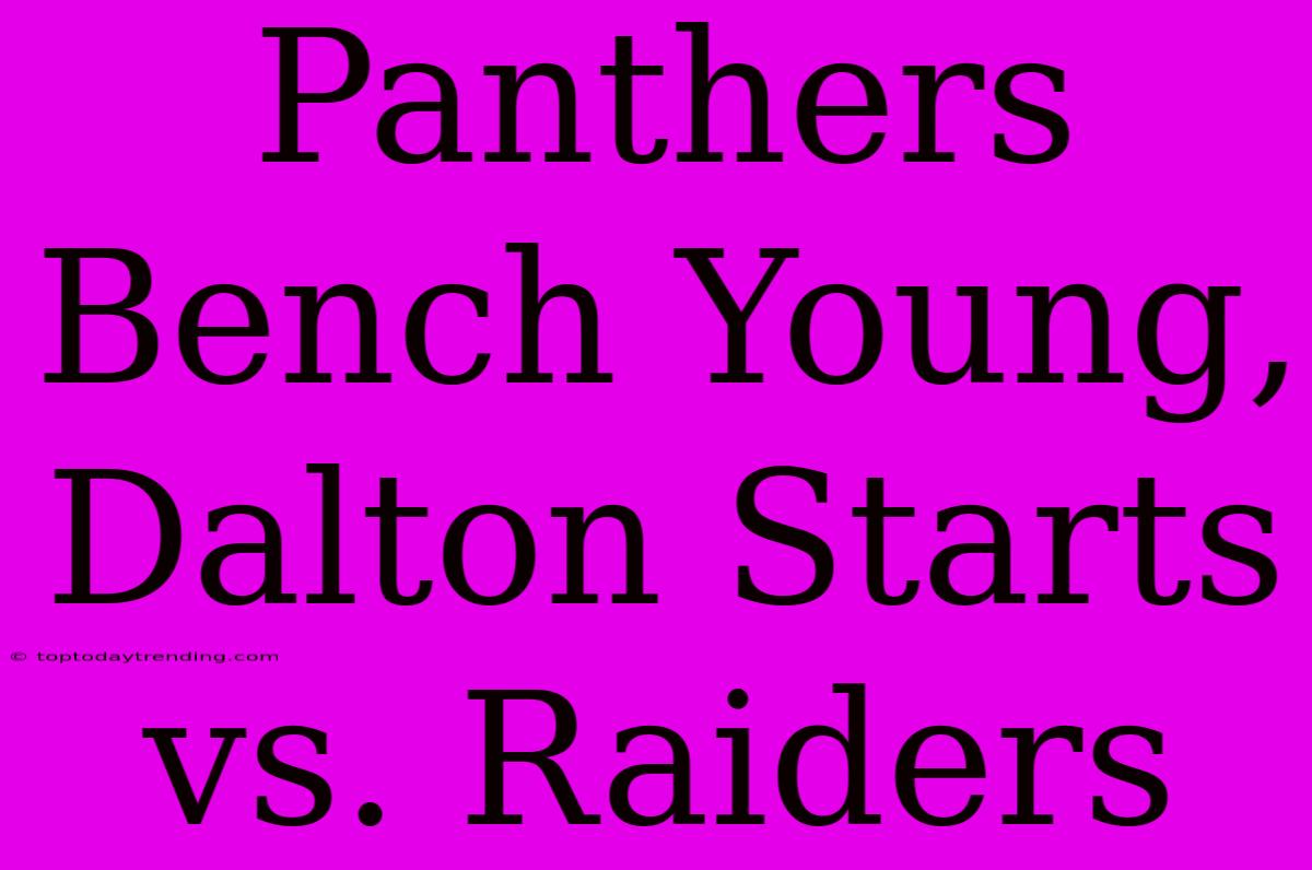 Panthers Bench Young, Dalton Starts Vs. Raiders