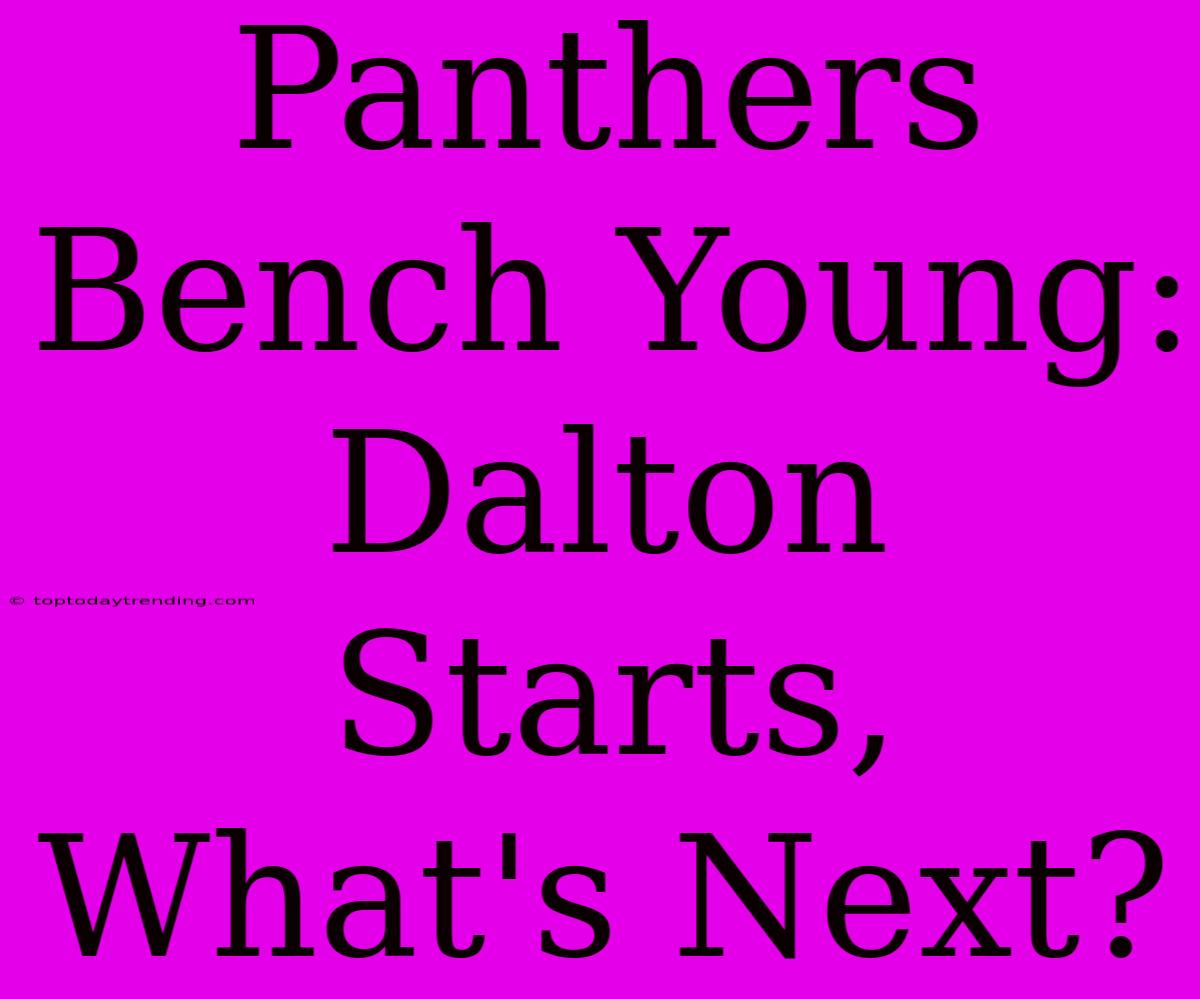 Panthers Bench Young: Dalton Starts, What's Next?