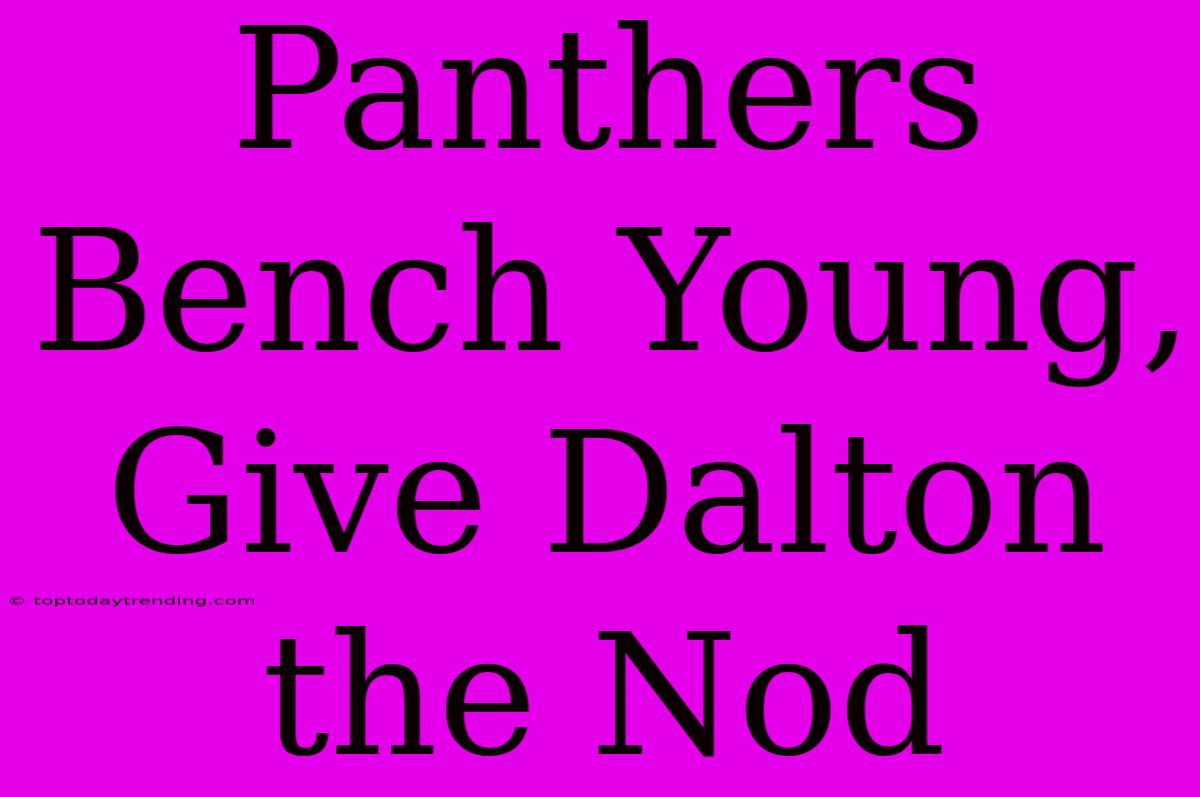 Panthers Bench Young, Give Dalton The Nod