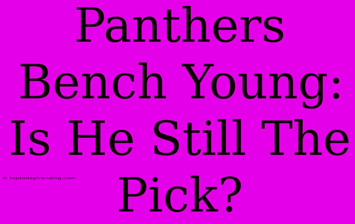 Panthers Bench Young: Is He Still The Pick?