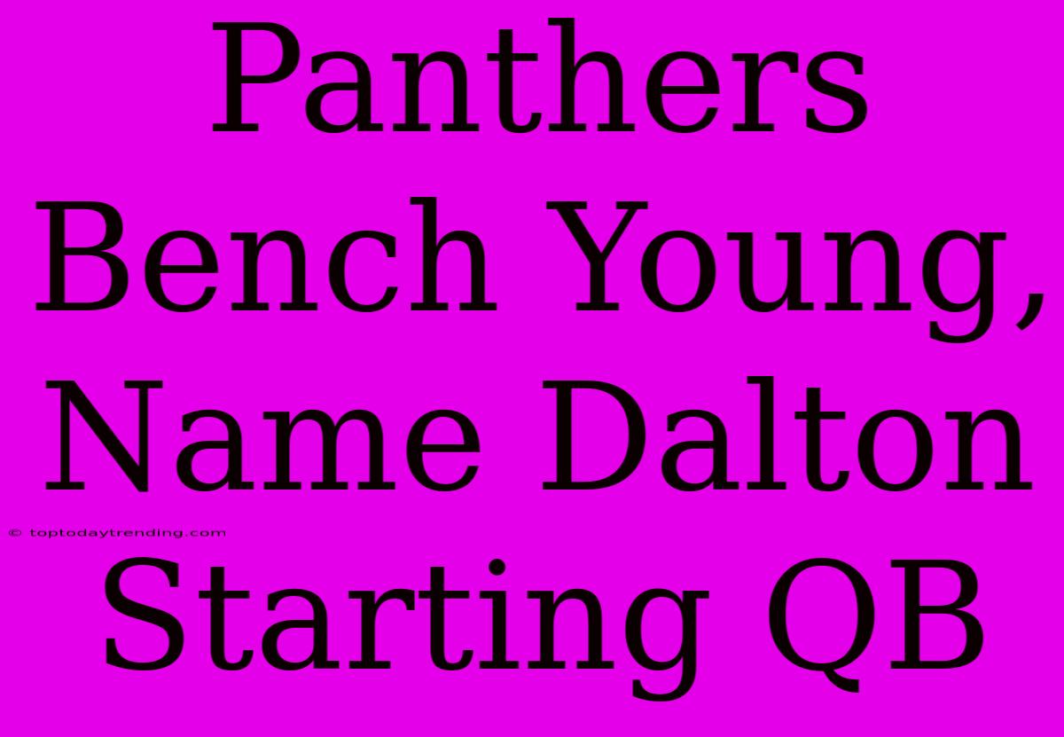 Panthers Bench Young, Name Dalton Starting QB