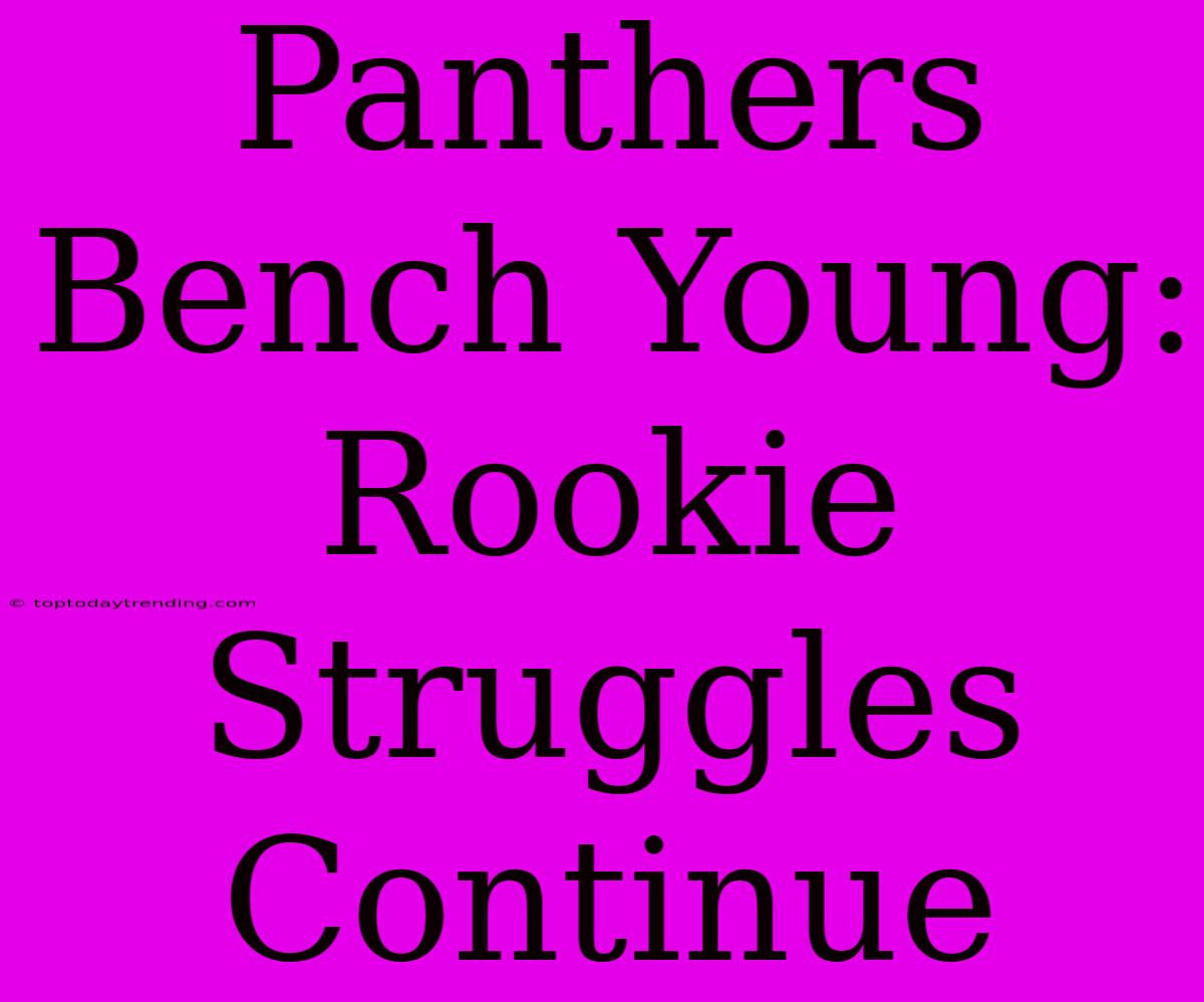 Panthers Bench Young: Rookie Struggles Continue