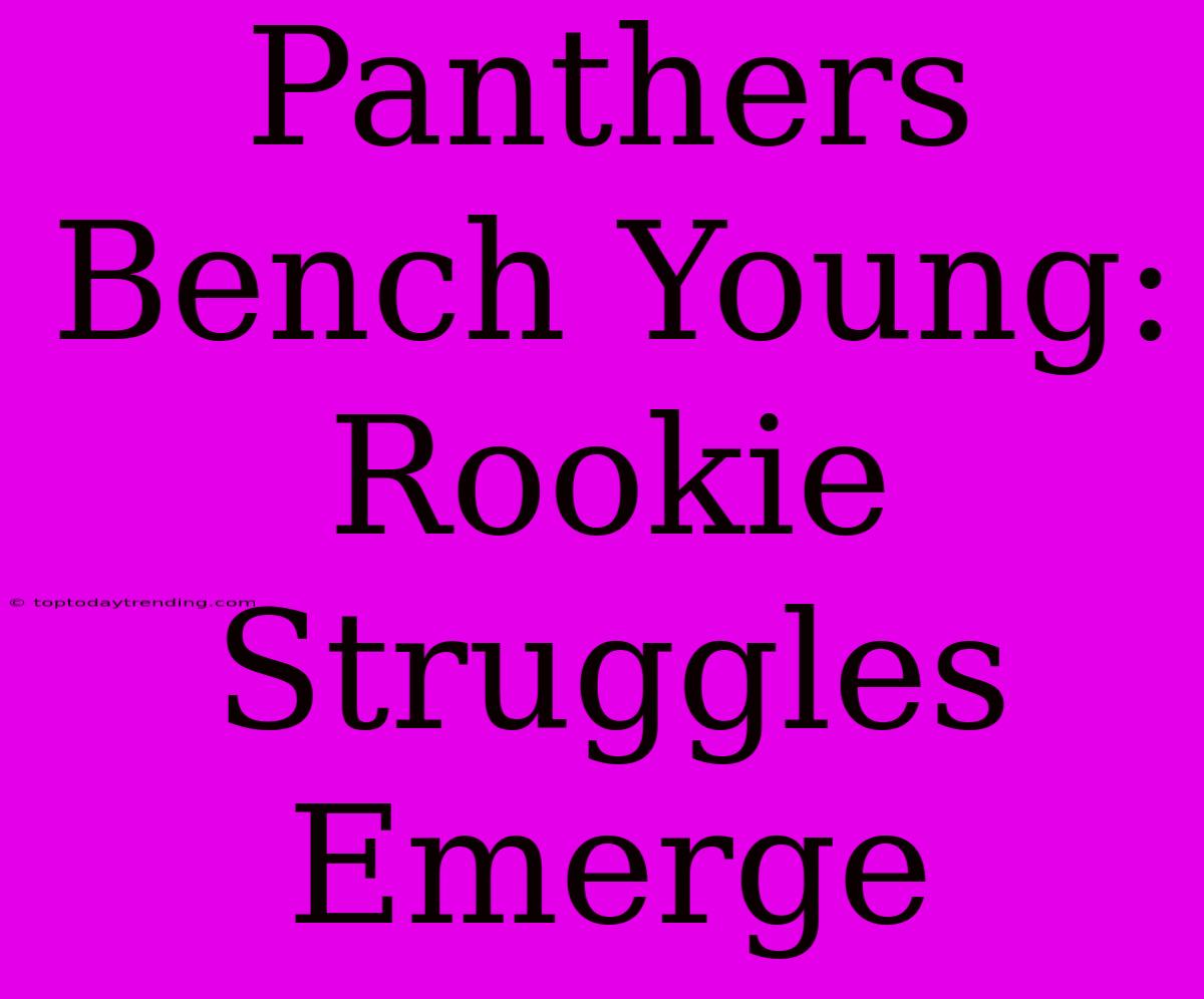 Panthers Bench Young: Rookie Struggles Emerge