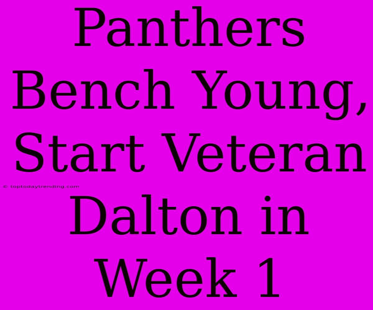 Panthers Bench Young, Start Veteran Dalton In Week 1