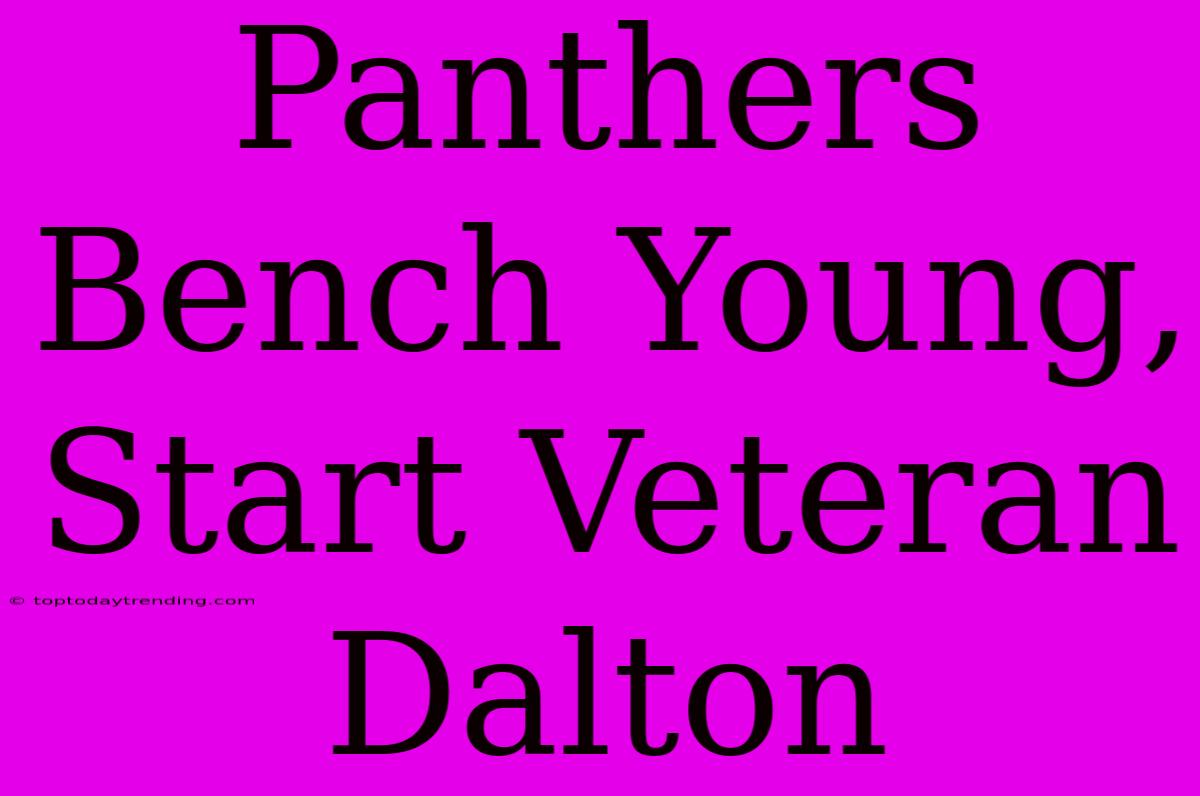 Panthers Bench Young, Start Veteran Dalton