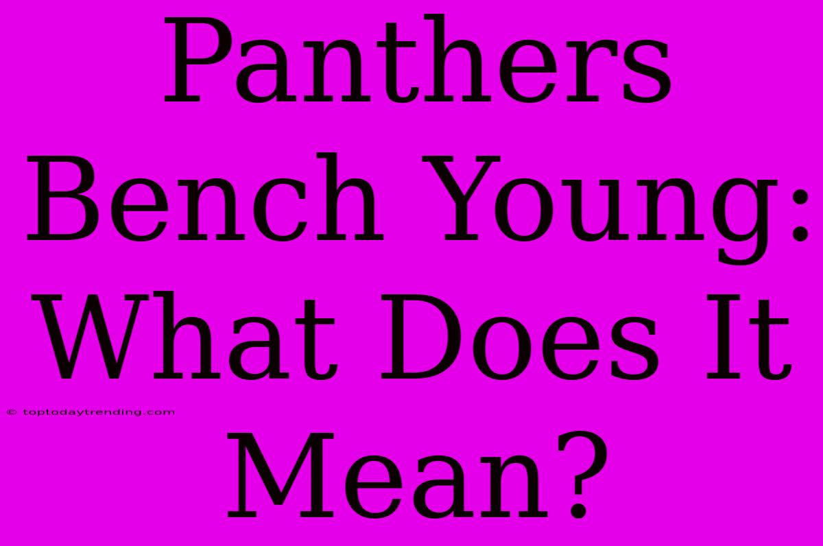 Panthers Bench Young: What Does It Mean?