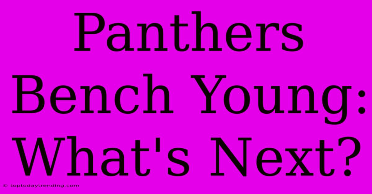 Panthers Bench Young: What's Next?