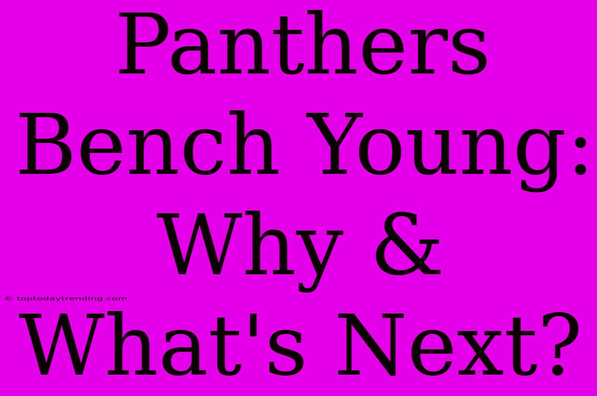 Panthers Bench Young: Why & What's Next?