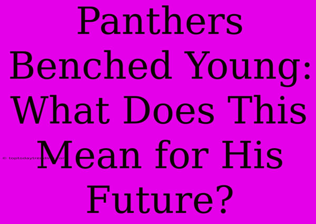 Panthers Benched Young: What Does This Mean For His Future?