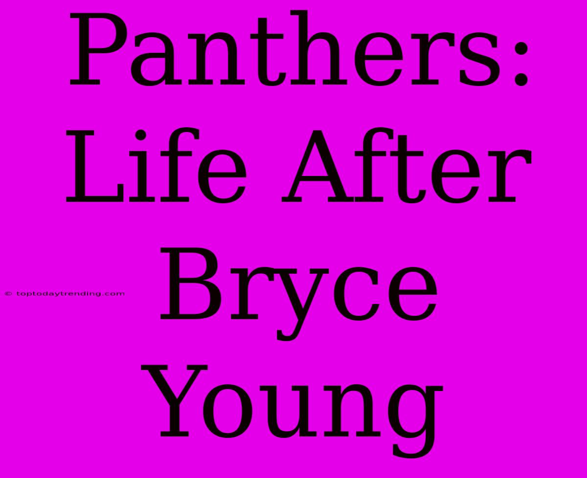 Panthers: Life After Bryce Young