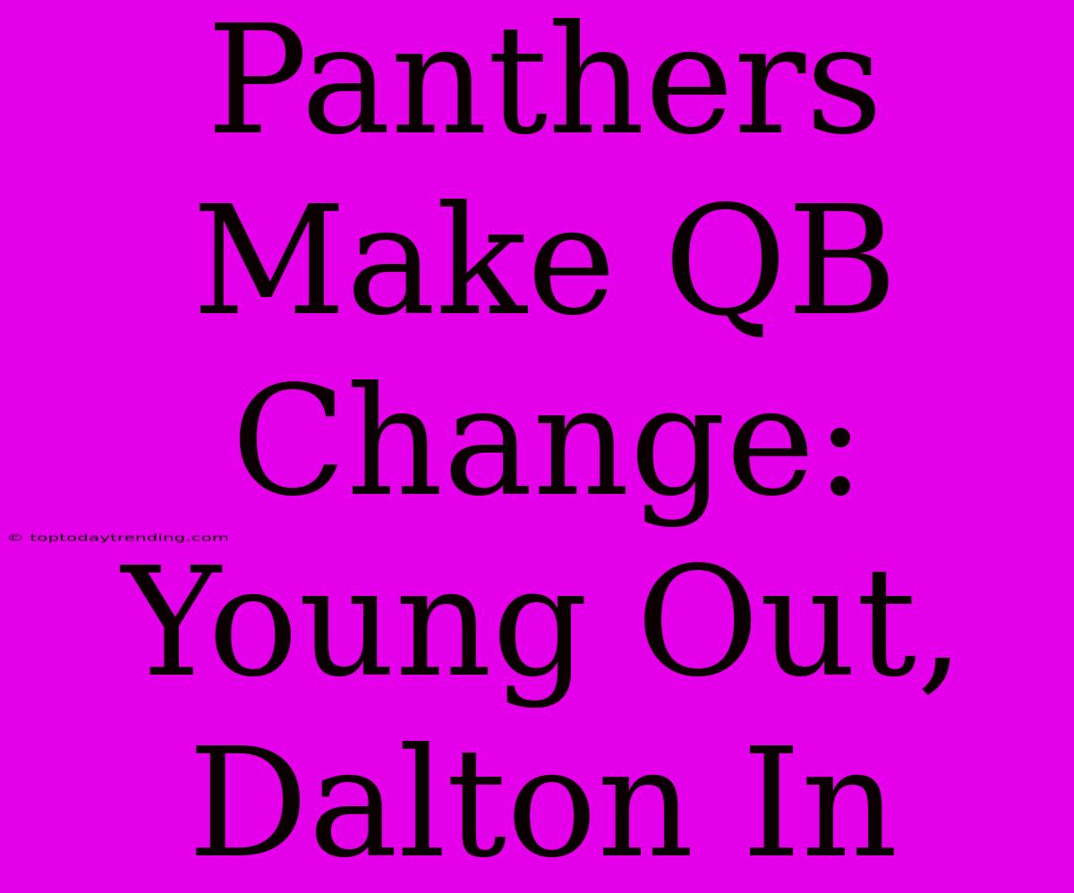 Panthers Make QB Change: Young Out, Dalton In