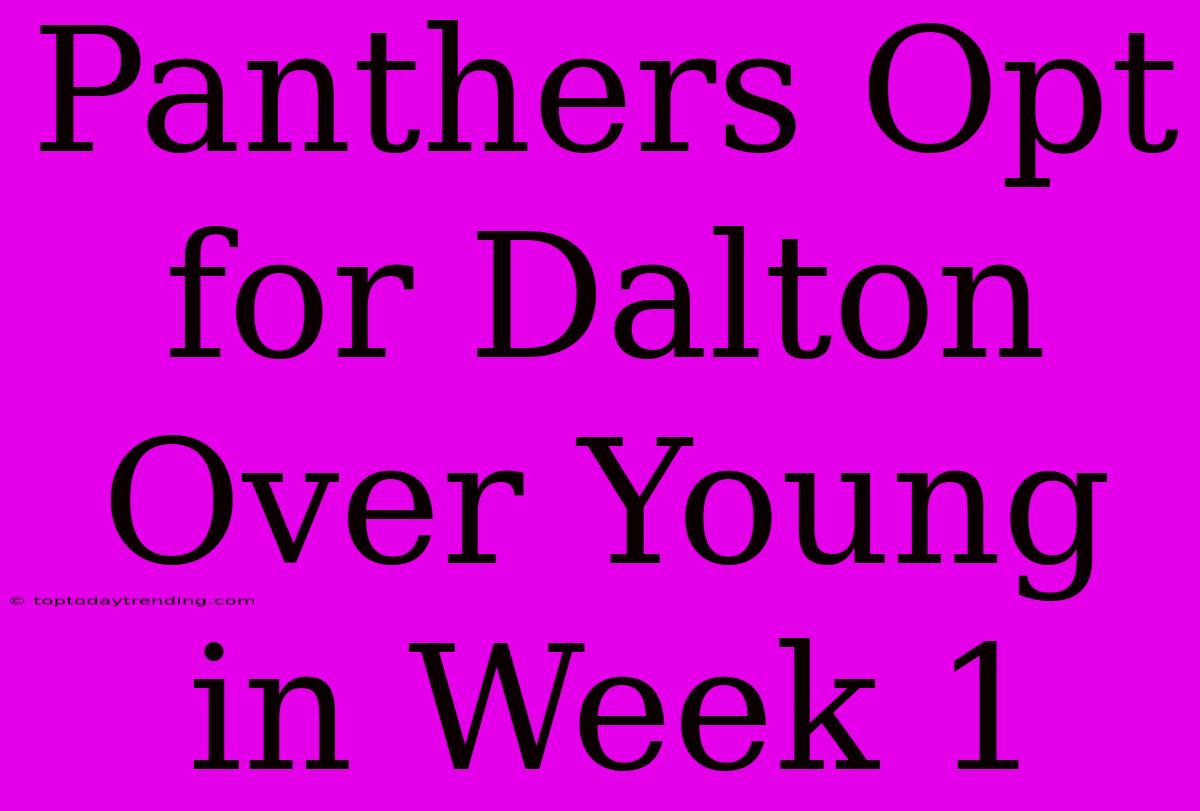 Panthers Opt For Dalton Over Young In Week 1