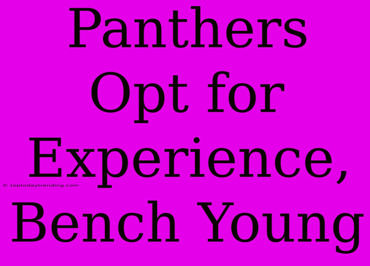 Panthers Opt For Experience, Bench Young