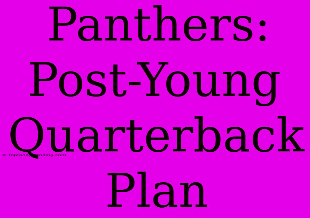 Panthers: Post-Young Quarterback Plan