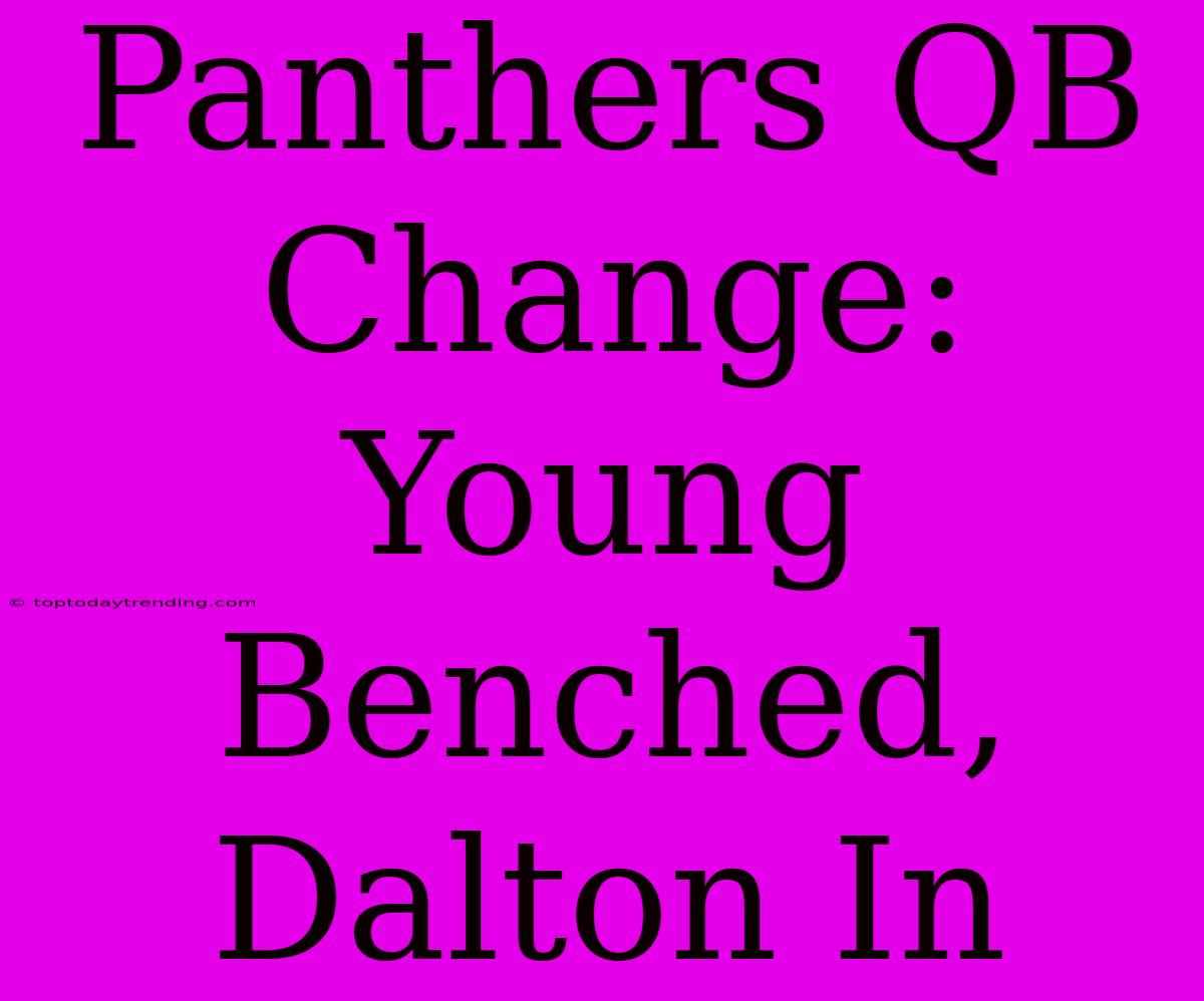 Panthers QB Change: Young Benched, Dalton In