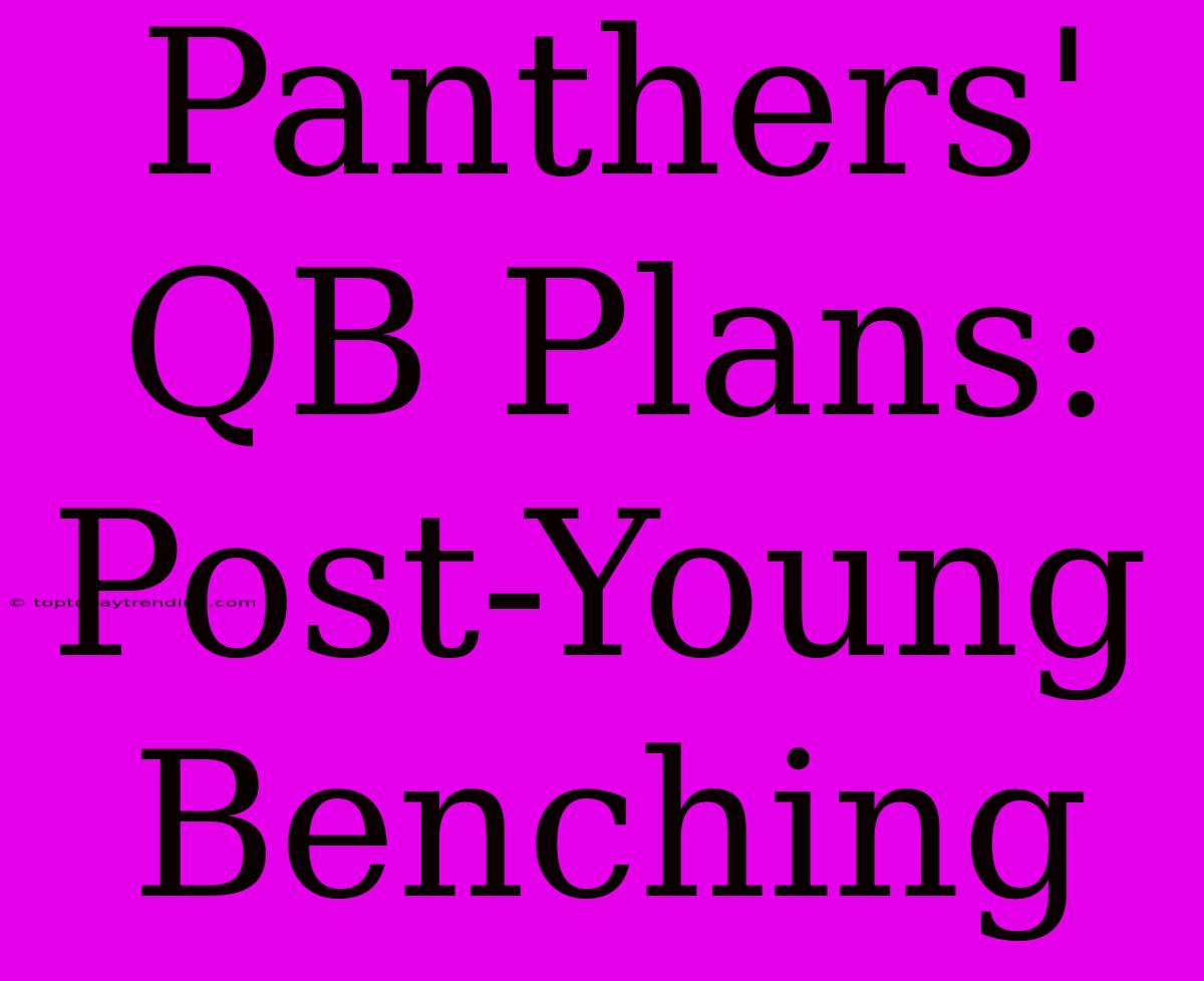 Panthers' QB Plans: Post-Young Benching