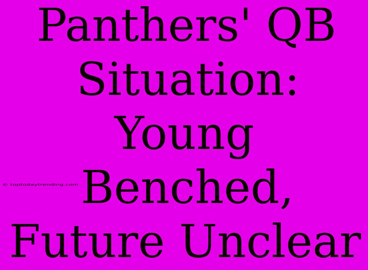 Panthers' QB Situation: Young Benched, Future Unclear