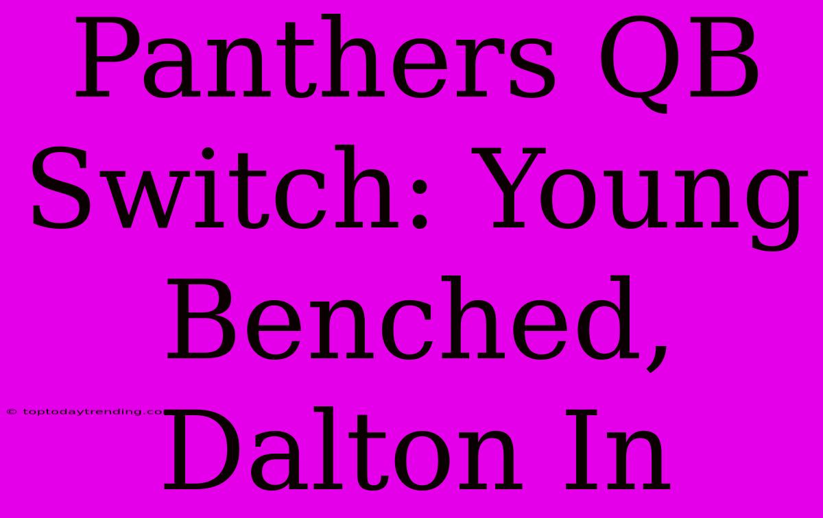 Panthers QB Switch: Young Benched, Dalton In