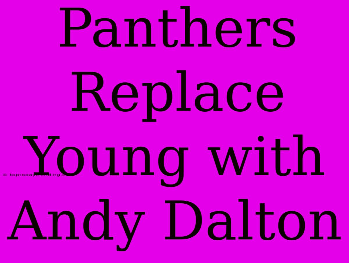 Panthers Replace Young With Andy Dalton