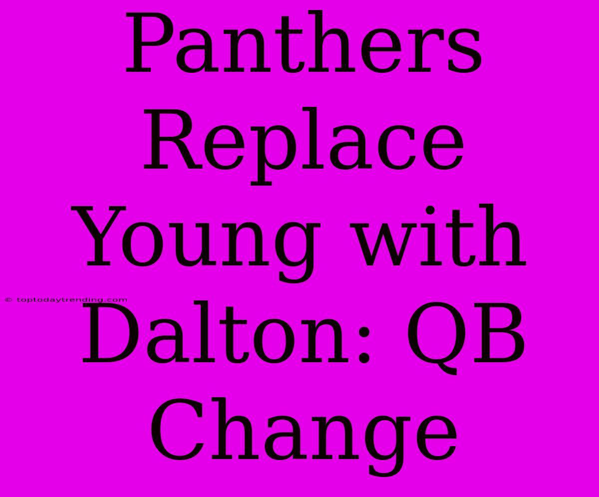 Panthers Replace Young With Dalton: QB Change